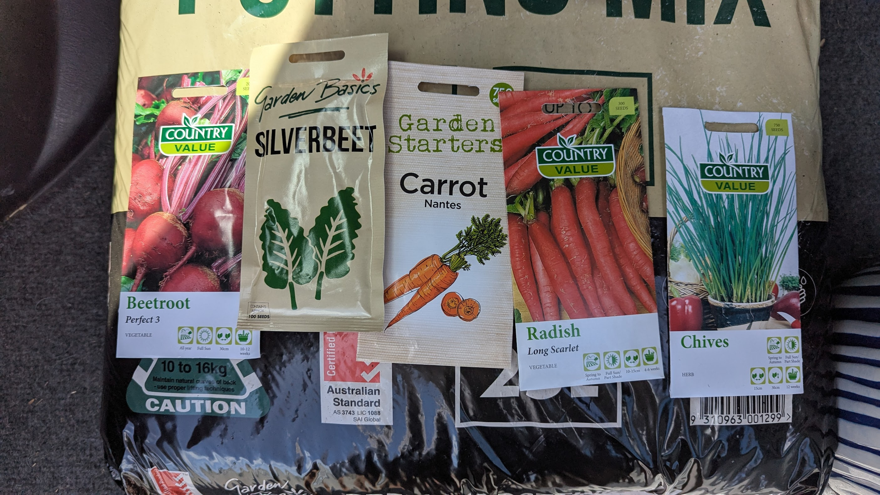 Urban Gardening for Beginners: 4 Essentials to Get Growing&nbsp;Fast