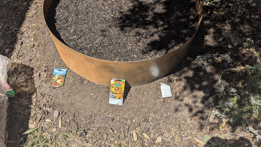A metal landscape ring filled with dark soil, surrounded by scattered seed packets for flowers and vegetables, on a garden floor with grass and foliage.