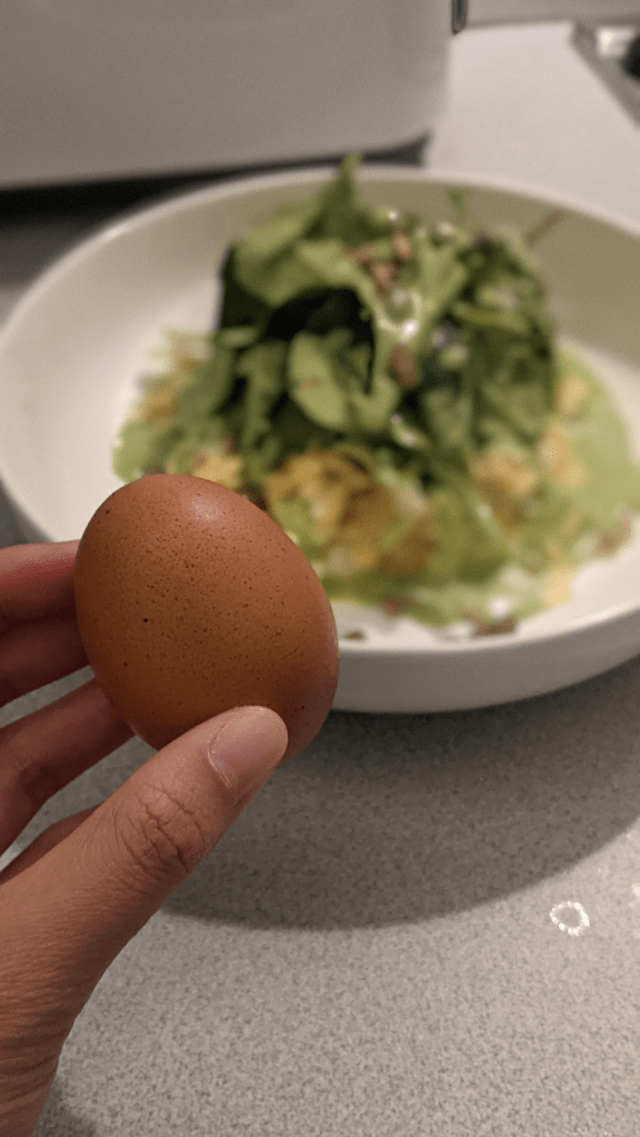 A hand holding a brown egg in front of a plate containing a salad with greens and grains.