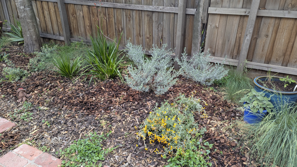 A lush garden bed with various plants, including greenery, yellow flowers, and a blue pot, set against a wooden fence.
